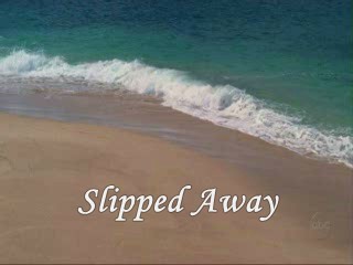 Slipped Away